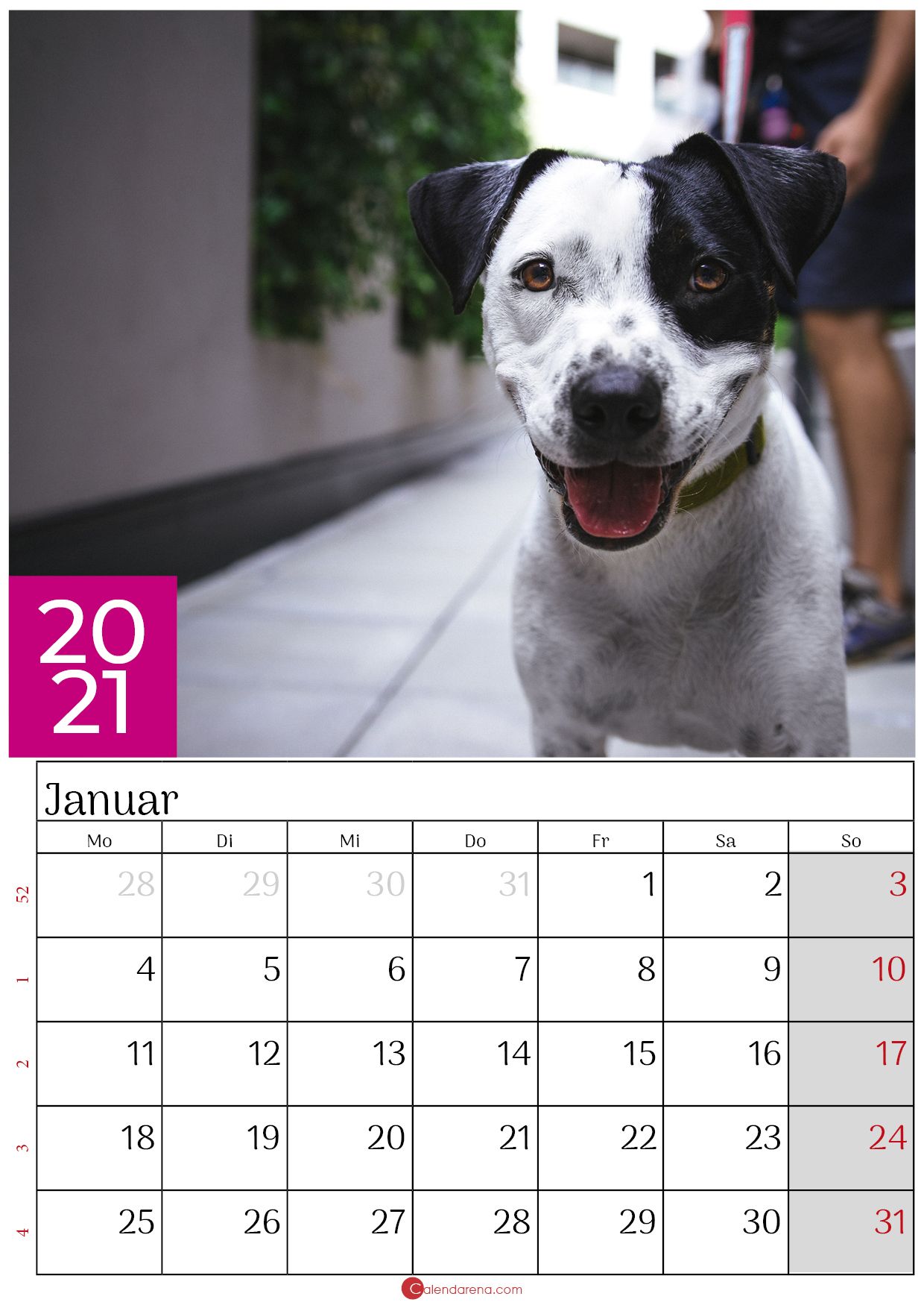 kalender januar 2021 dog | 2021 calendar, Calendar