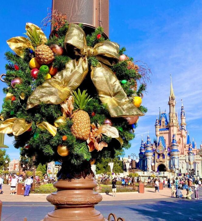 Disneyland Christmas 2021 Food