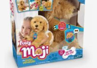 Hot Toys Christmas 2021 Canada