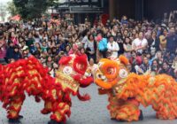 Chinese New Year Events Auckland