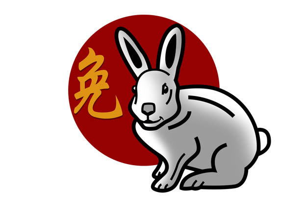 Chinese New Year 2022 Animal Rabbit 10