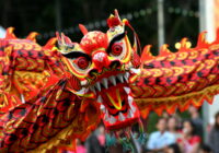 Chinese New Year Dragon Facts