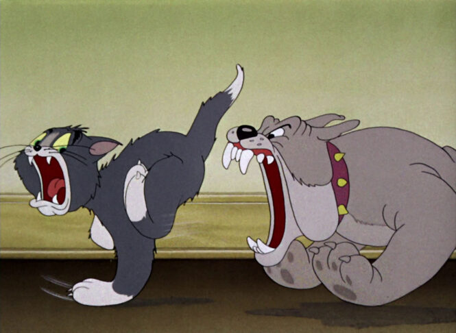 Tom And Jerry Dog