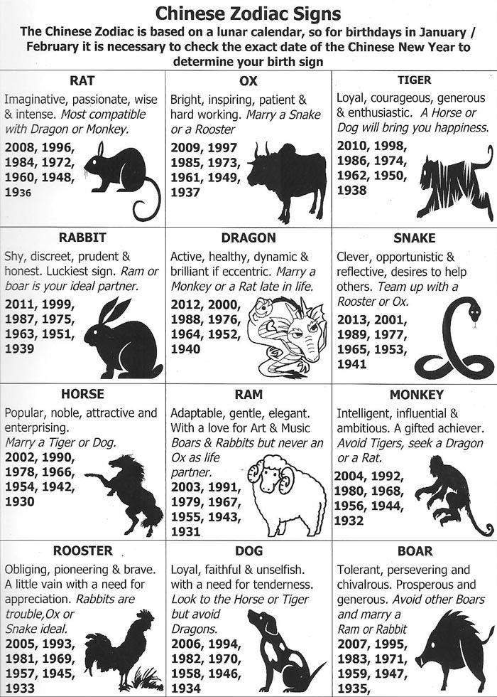 Chinese New Year Animals Meanings Compatibility Latest