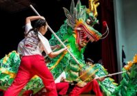 Houston Chinese New Year Events