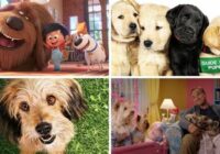 Best Netflix Movies 2022