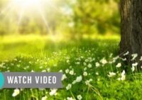 How Many More Days Until The First Day Of Spring 2022