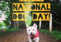 Happy National Dog Day 2022 Quotes