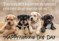 National Dog Day Images