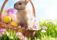 Easter In Switzerland 2022