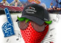 Strawberry Festival 2022 Armbands