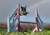 How Many Days Until August 15 2022