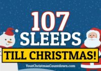 How Many Days Until 2022 In America