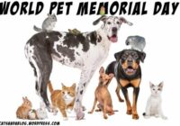 World Pet Memorial Day 2022