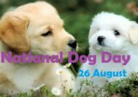 National Dog Day Images 2022