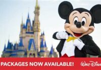 Disney World Florida Vacation Packages 2022