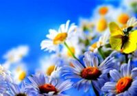 How Many Days Until May 5 2022