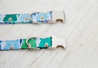 How Long Till Spring Training