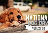 National Dog Day Events Near Me