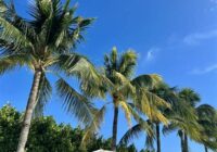 Goucher College Spring Break 2022