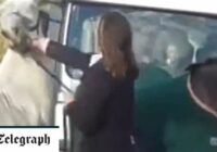 Meteor Shower 2022 India Date And Time