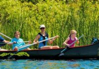 Spring Break 2022 Vacation Ideas