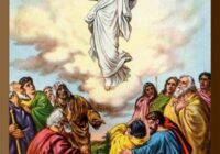 How Many Days Left Until February 2022