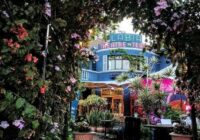 Valentines Ideas Cape Town