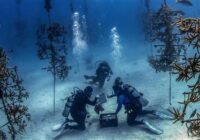 Summer Internships 2022 Ohio