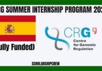 Summer Internships 2022 Business