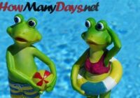 How Many Days Until Summer 2022 Uk