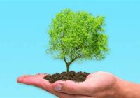 Arbor Day 2022 Virginia