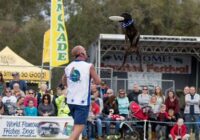 Florida State Fair Lineup