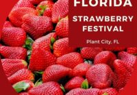 Strawberry Festival 2022