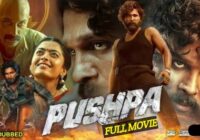 New Movies 2022 Hindi Dubbed List