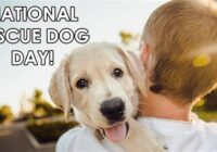 National Dog Rescue Day Images