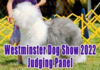 Dog Show 2022 Michigan
