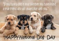National Dog Day Quotes