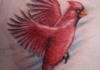 Cardinal As Well As Butterfly Tattoo