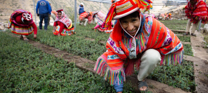 2022 Champions of the Earth award to honour ecosystem restoration Latest News Update